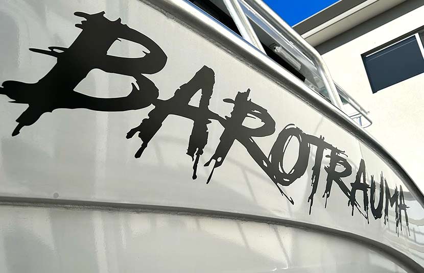 baro decals